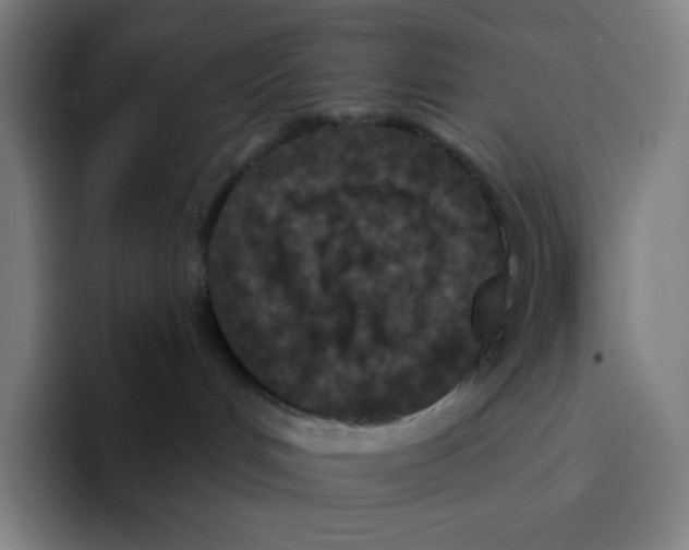 X0000094920048200712271541
