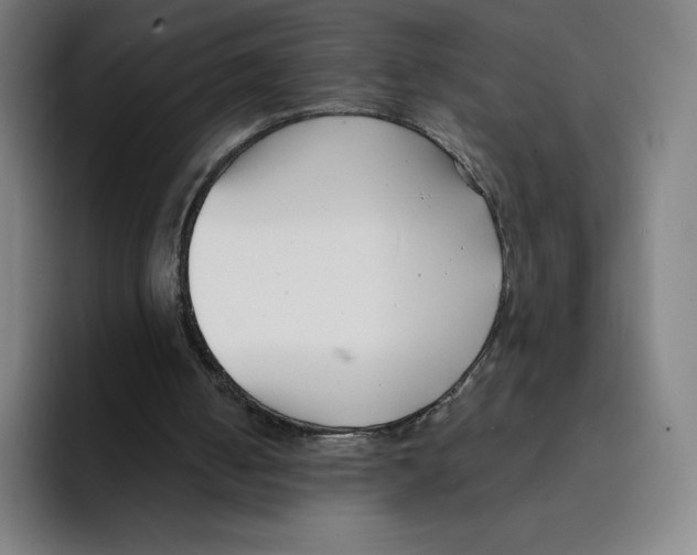 X0000094920050200712271541