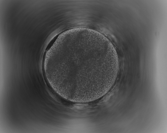 X0000094920051200712271541