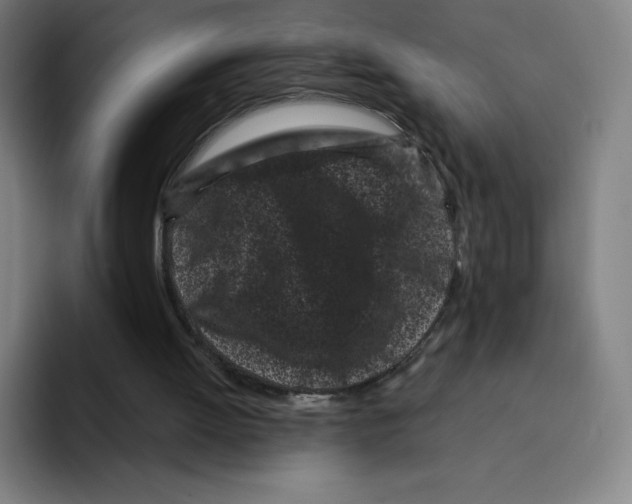X0000094920052200712271541