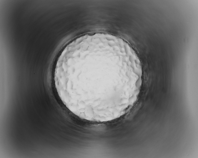 X0000094920053200712271541