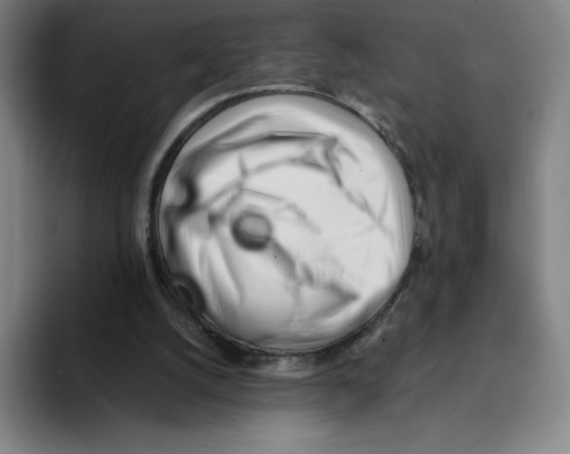X0000094920056200712271541