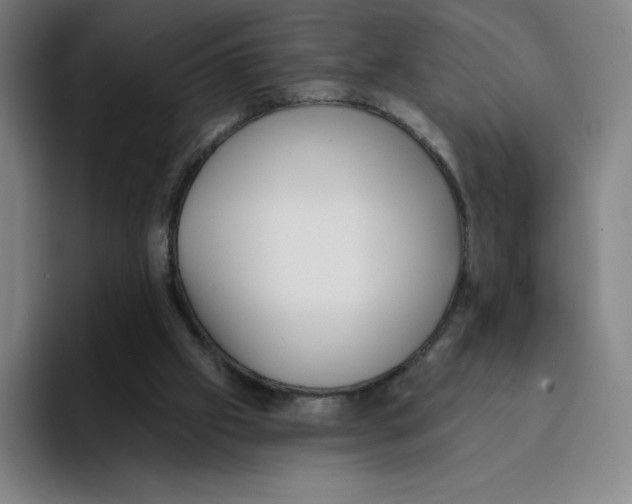 X0000094920057200712271541