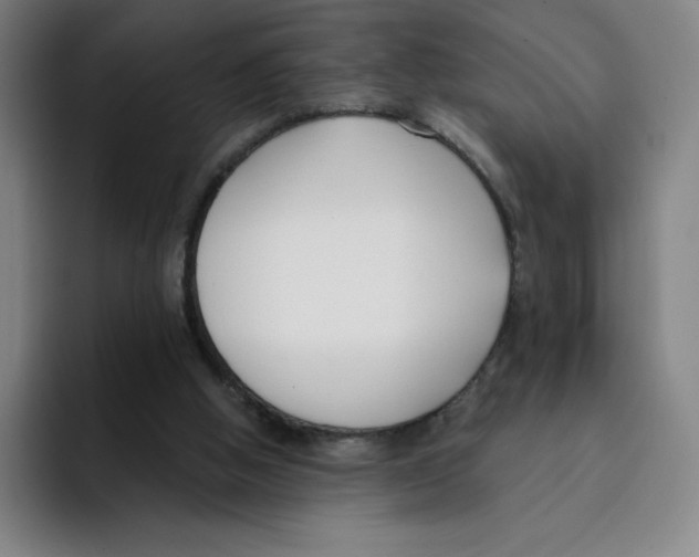 X0000094920058200712271541