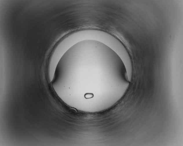 X0000094920060200712271541