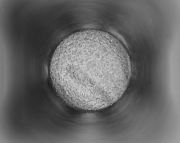 X0000094920061200712271541