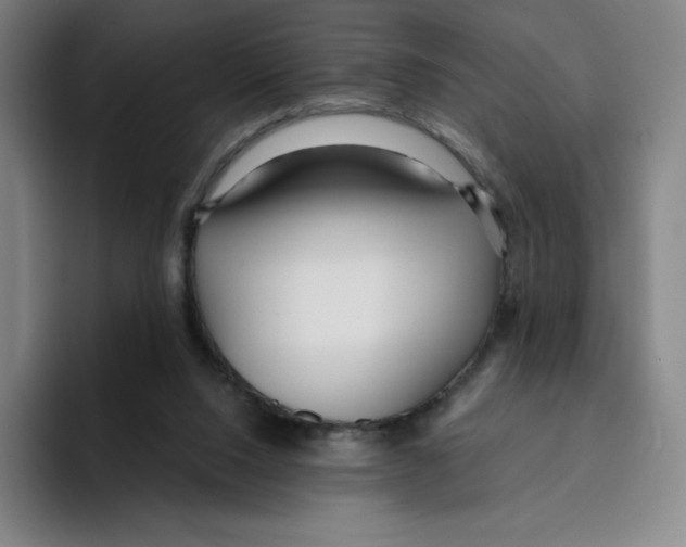 X0000094920064200712271541