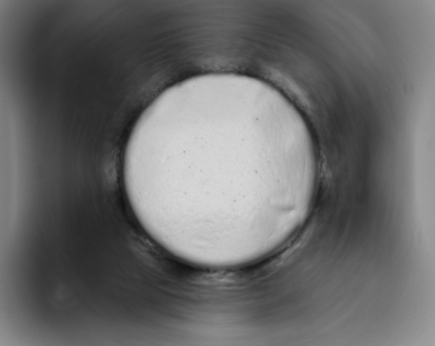 X0000094920065200712271541