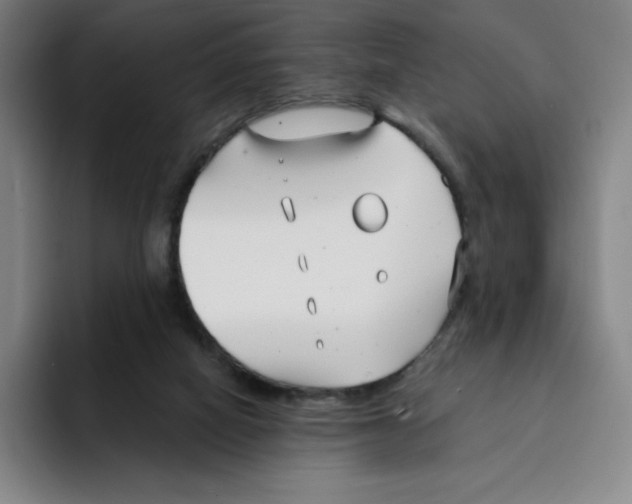 X0000094920066200712271541