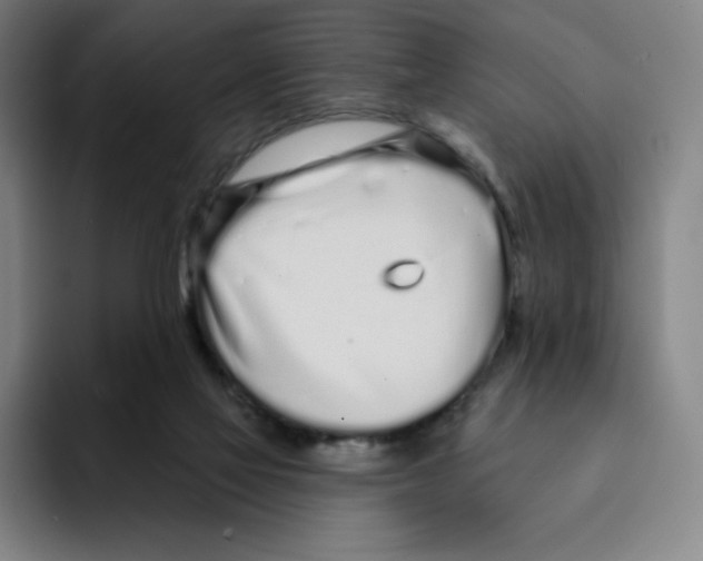 X0000094920069200712271541