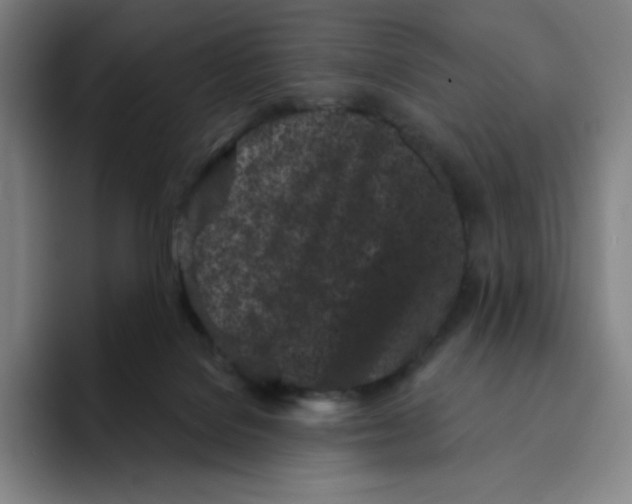 X0000094920076200712271541