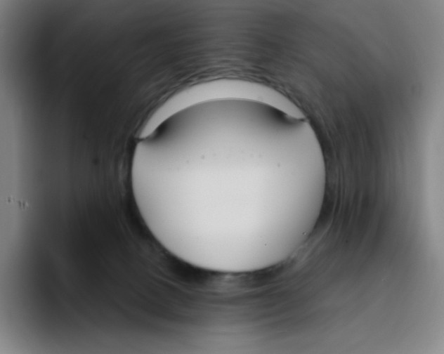 X0000094920082200712271541