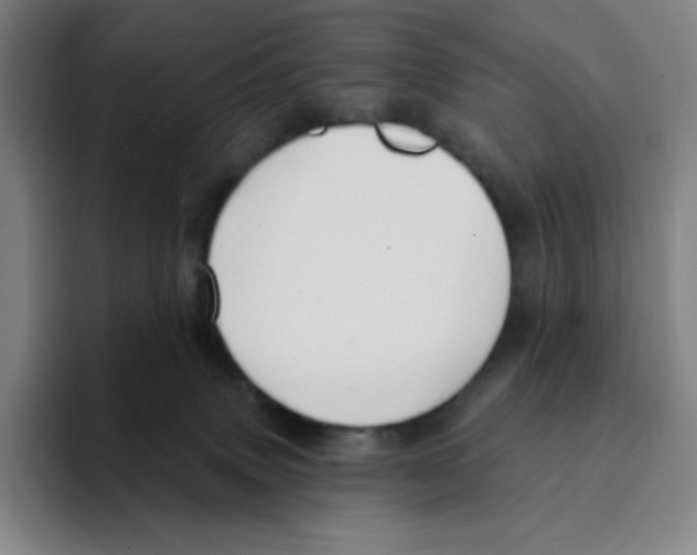 X0000094920083200712271541