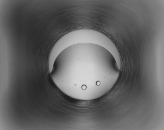 X0000094920084200712271541