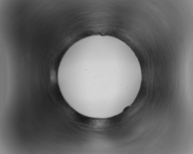X0000094920089200712271541