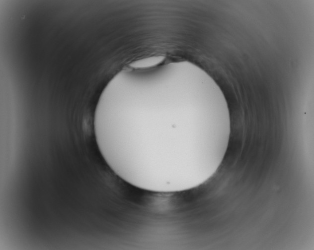 X0000094920090200712271541