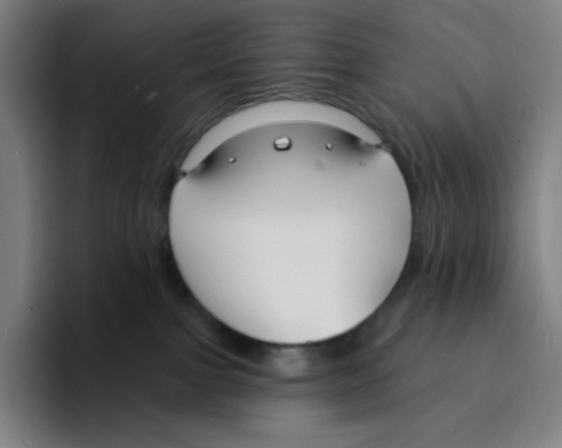 X0000094920091200712271541
