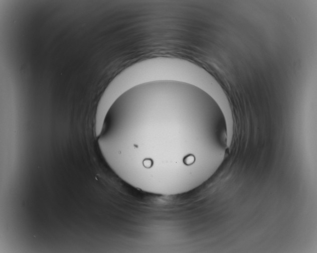 X0000094920092200712271541