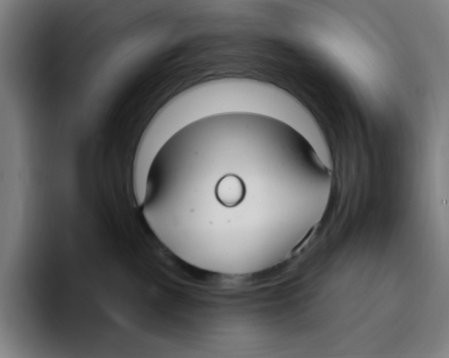 X0000094920093200712271541