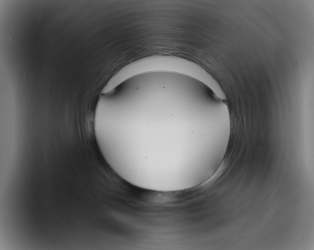 X0000094920094200712271541