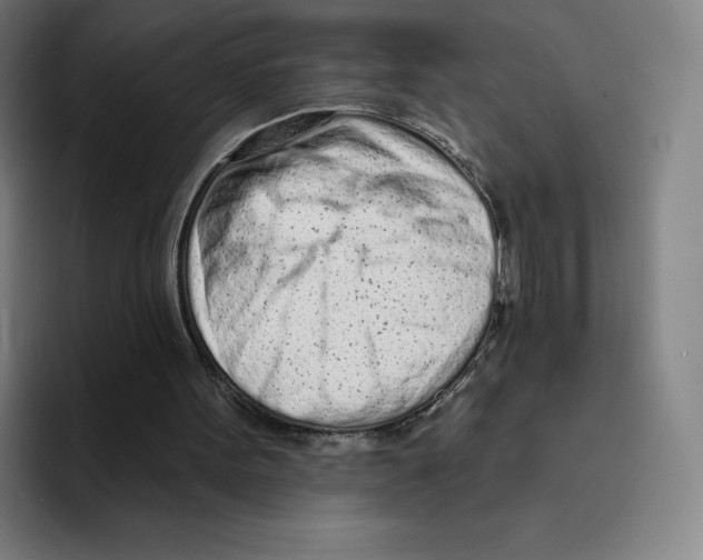 X0000094920099200712271541