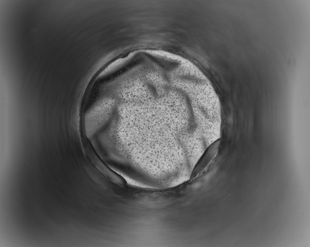 X0000094920100200712271541