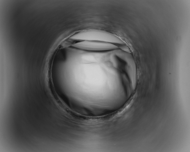 X0000094920101200712271541