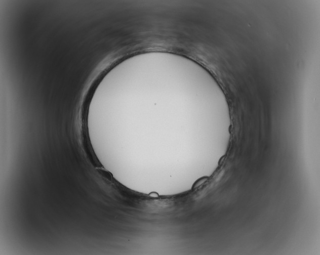 X0000094920102200712271541
