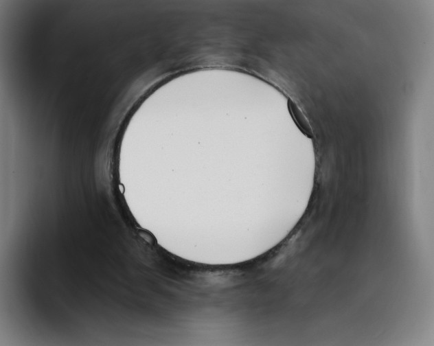 X0000094920103200712271541