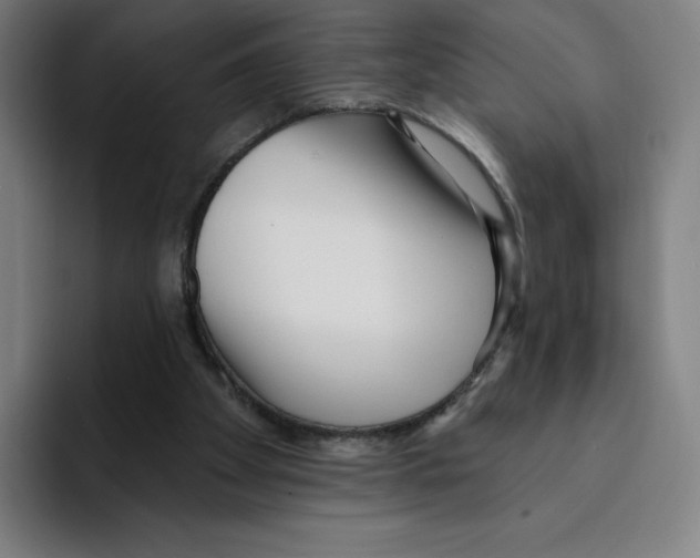 X0000094920105200712271540