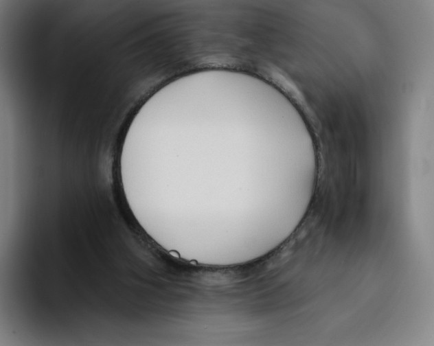 X0000094920106200712271540