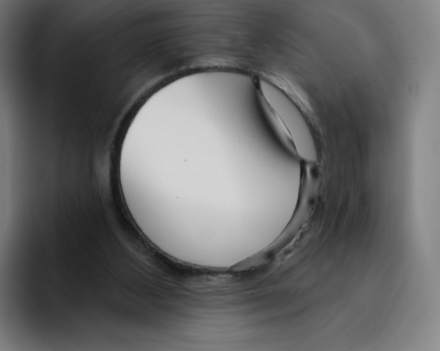 X0000094920108200712271540