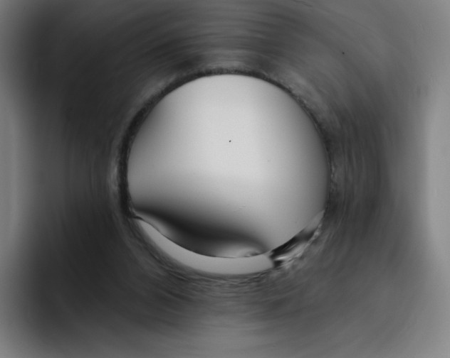 X0000094920112200712271540