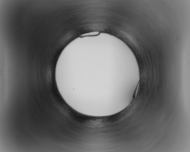 X0000094920120200712271540