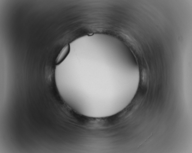 X0000094920125200712271540