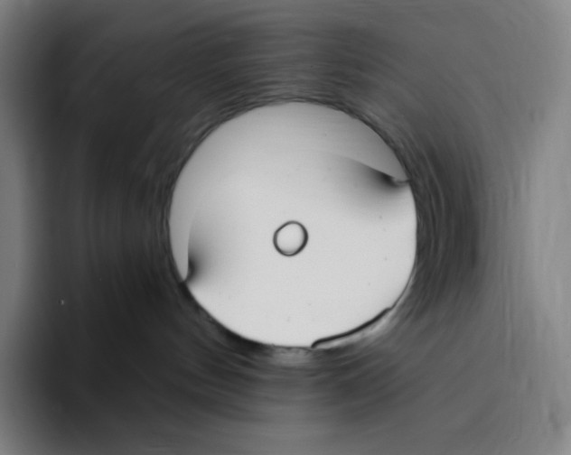 X0000094920144200712271540
