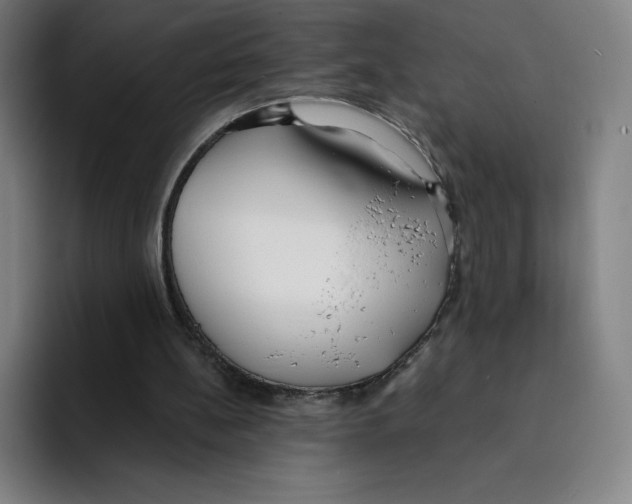 X0000094920148200712271539