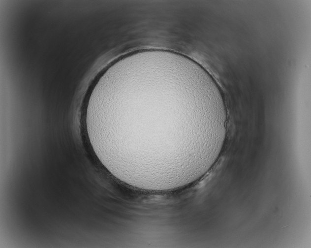 X0000094920151200712271539