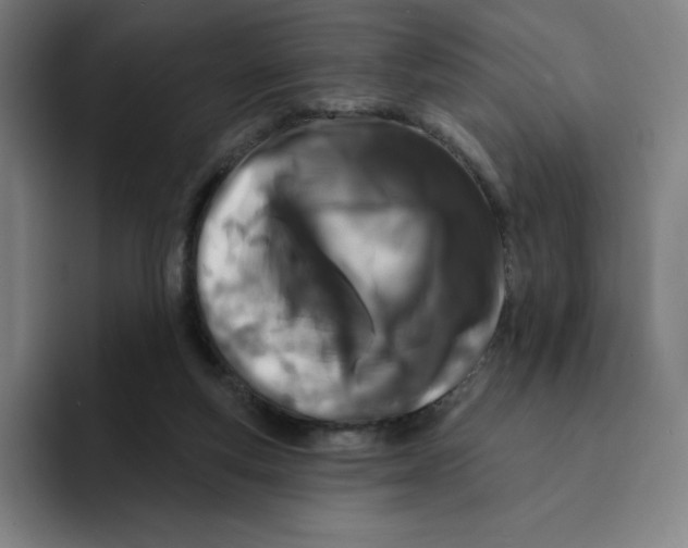 X0000094920163200712271540