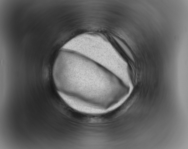 X0000094920165200712271540
