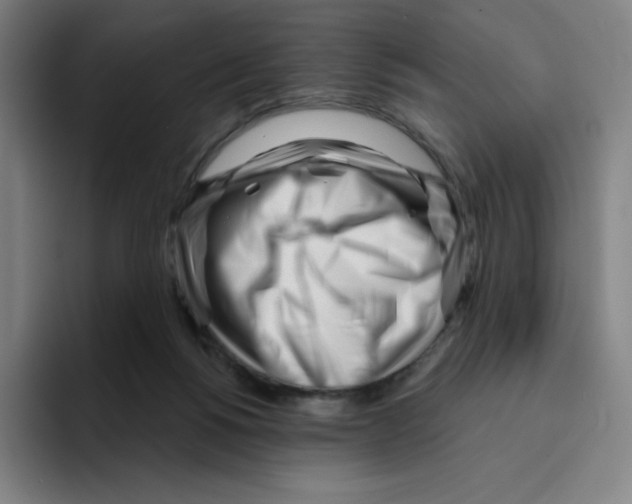X0000094920168200712271540