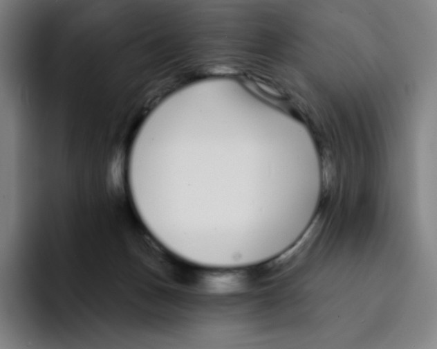 X0000094920175200712271540