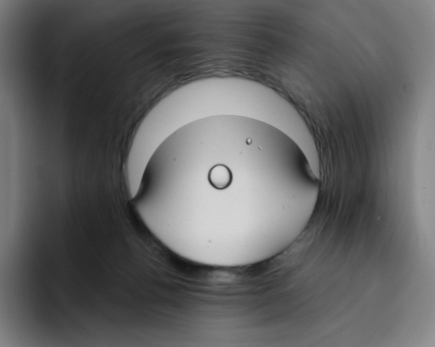 X0000094920176200712271540