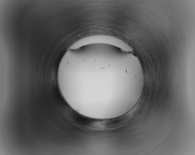 X0000094920178200712271540