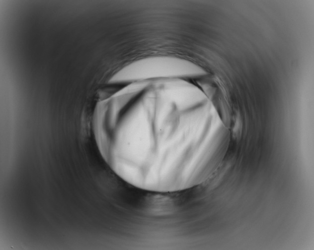 X0000094920180200712271540