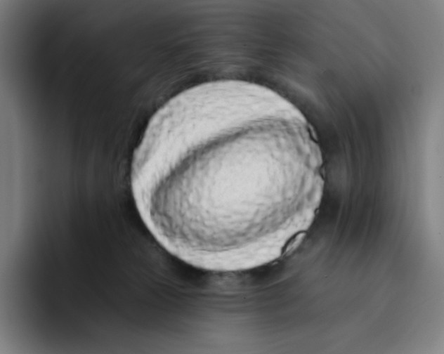 X0000094920181200712271540