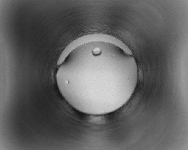 X0000094920185200712271540