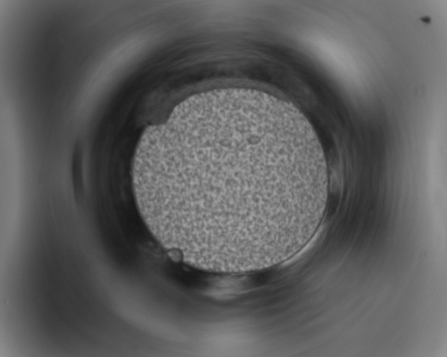 X0000094920191200712271540