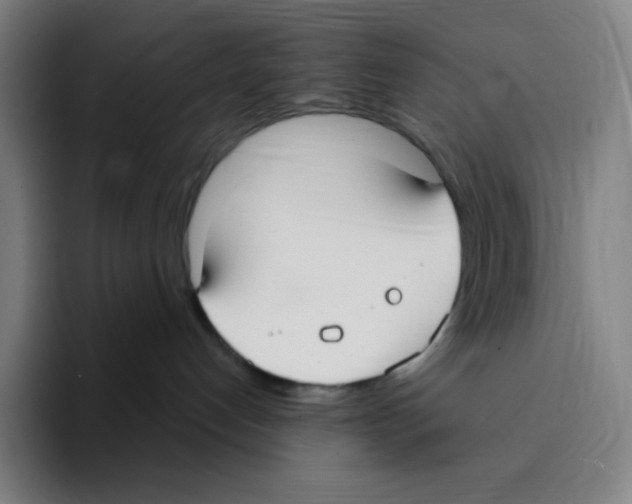 X0000094920192200712271540