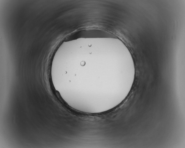 X0000094920193200712271539